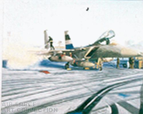 DE-ICING F-15 EAGLE